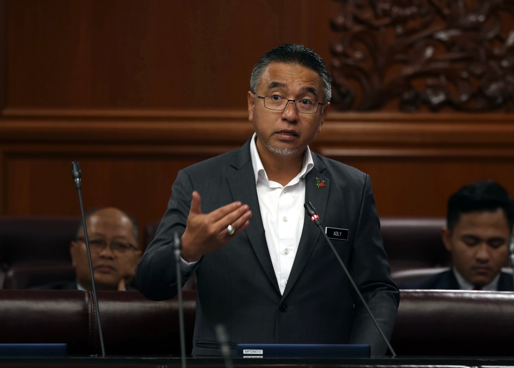 Deputy Minister Adly Zahari speaks at the Dewan Negara April 3, 2024. ― Bernama pic