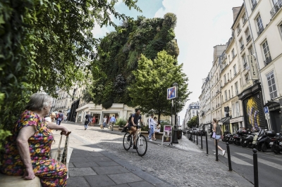 Living on greener streets helps you sleep better, study finds