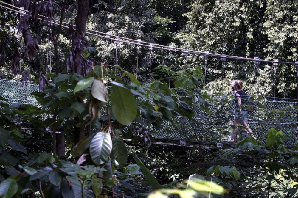 Current agendas at the ministry includes increasing the number of national and Unesco geoparks, as well as green mining initiatives. — Bernama pic