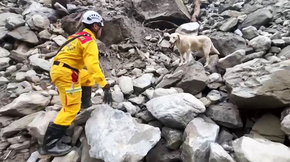 This screen grab from a video taken on April 6, 2024 and released by the Hualien County Fire Department shows a rescuer locating the body of an earthquake victim with the help of Roger, an eight-year-old labrador, in Taiwan's Taroko National Park, three days after the magnitude-7.4 earthquake hit the region. — Laurent Fievet / Hualien County Fire Department / AFP pic