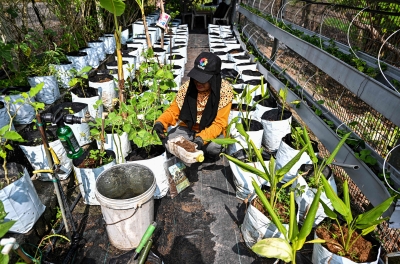 Pahang converts Ramadan food waste into fertiliser - Vimarsana News
