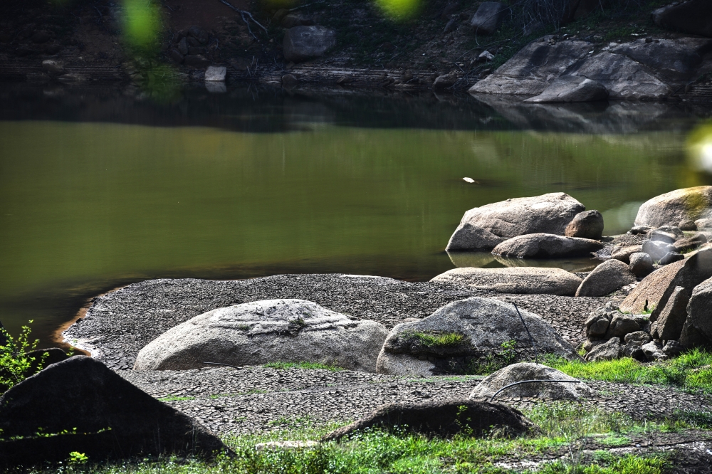 The water capacity at the Air Itam Dam has reached stage three of the critical level with a reading of 30.8 per cent today, which could last 30 more days if it still doesn’t rain. — Bernama pic
