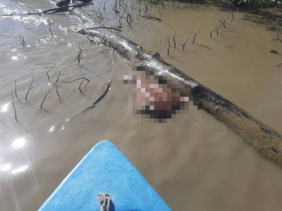 九名钓鱼者在砂拉越瓜拉巴南河发现漂浮尸体后，有趣的一天变得可怕
