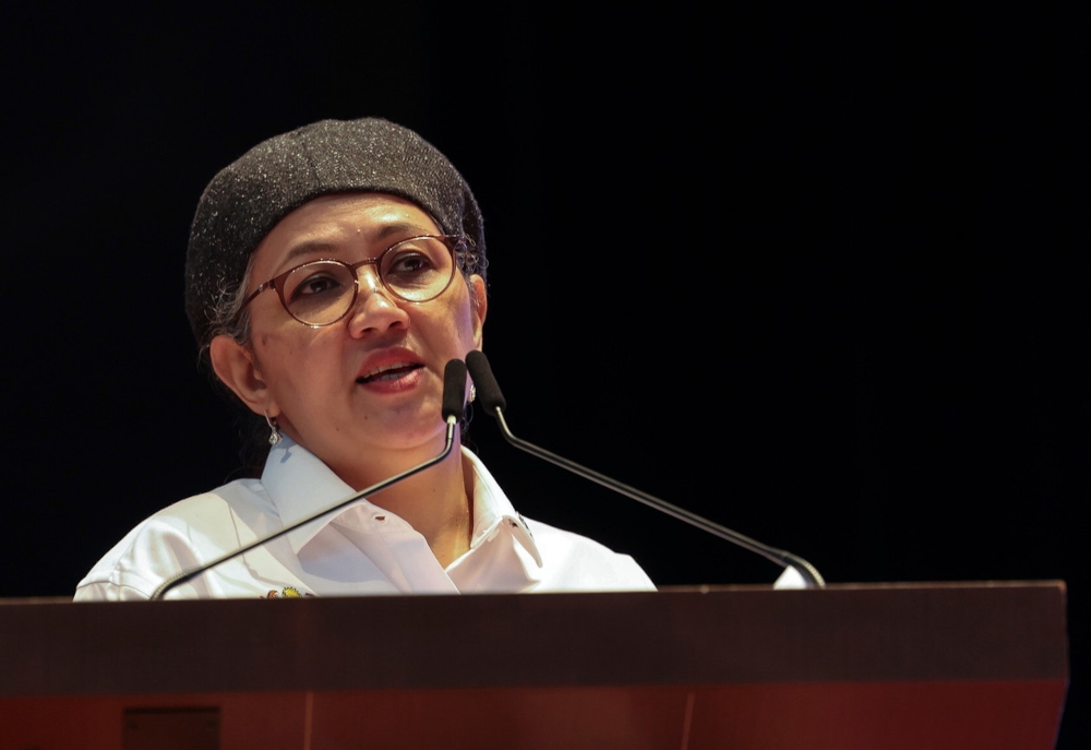 Deputy Economy Minister Datuk Hanifah Hajar Taib said Malaysia has been dedicated to sustainable development agenda with the launch of the New Economic Policy (NEP) in the 1970s, focusing on poverty eradication and societal restructuring. — Bernama pic