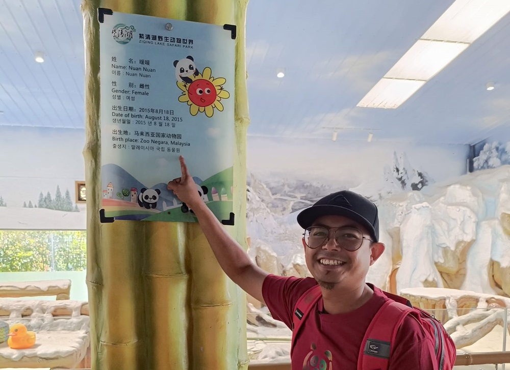 马来西亚熊猫饲养员中国之旅与“公主”团聚