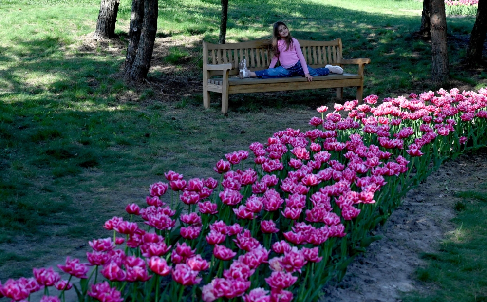 A child poses for a photo in front of blooming tulips in a park outside Kyiv on April 29, 2024, amid the Russian invasion of Ukraine. — AFP pic