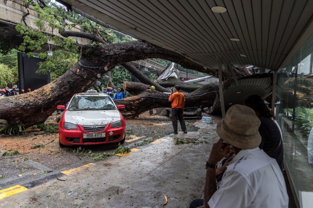 Based on photos shared by users on social media site X, the fallen tree also tipped over a bus stop or taxi stand under it, trapping several vehicles that were passing by at that time. ― Picture by Firdaus Latif