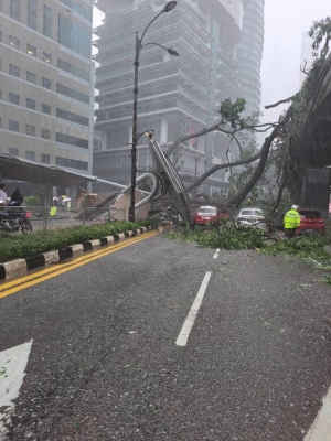 Tree falls on road, monorail track in KL city centre during storm, blocking road traffic and disrupting train service