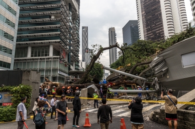 Rapid Rail: Four monorail stations temporarily closed for cleaning and repair works after fallen tree incident
