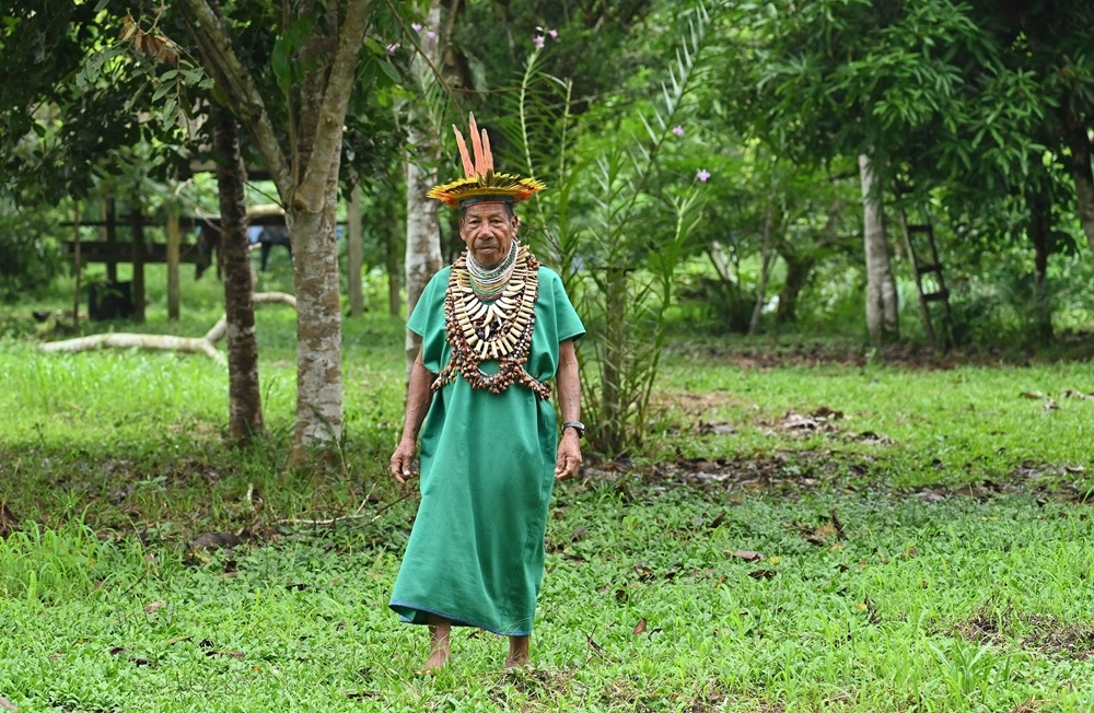 Delio Payaguaje, a Shaman from the Siona indigenous community, walks in the protected Amazon rainforest of Cuyabeno, Ecuador. When the fish became scarce, the spirits revealed that ‘envious’ shamans had blocked their passage through the Cuyabeno rivers, but scientists attribute this to the major impact of deforestation, climate change, and pollution from mining in the Ecuadorian Amazon. — AFP pic