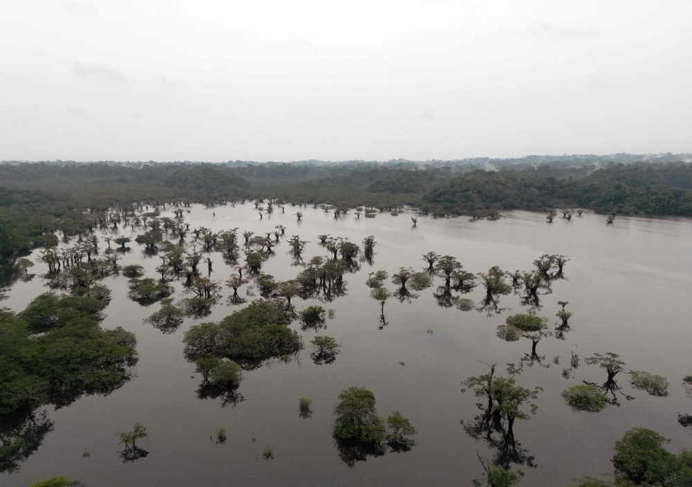 Aerial view of Laguna Grande in the protected Amazon rainforest of Cuyabeno, Ecuador March 26, 2024. — AFP pic