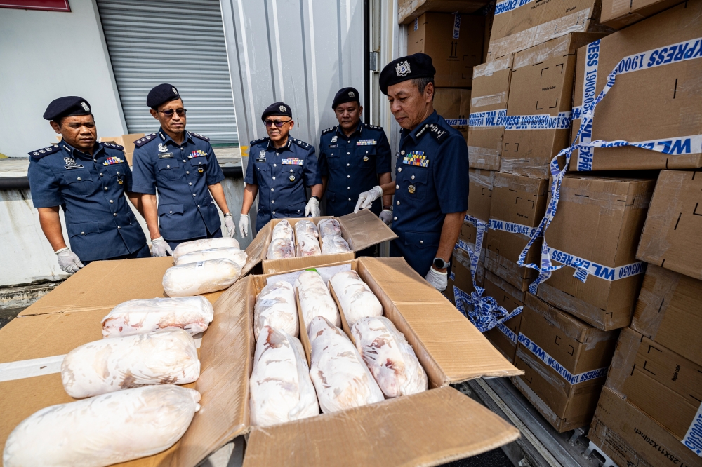 Perak Royal Malaysian Customs Department director Datuk Abdul Ghafar Mohamad during a press conference following the seizure of over 23,000kg of frozen suckling pig meat, in Ipoh May 14, 2024. — Bernama pic