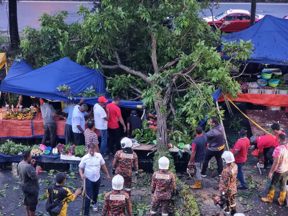 Nilai Fire and Rescue Station personnel assess the damage from the fallen tree at the Taman Semarak night market location, May 14, 2024. — Picture from Facebook/Arul Kumar Jambunathan