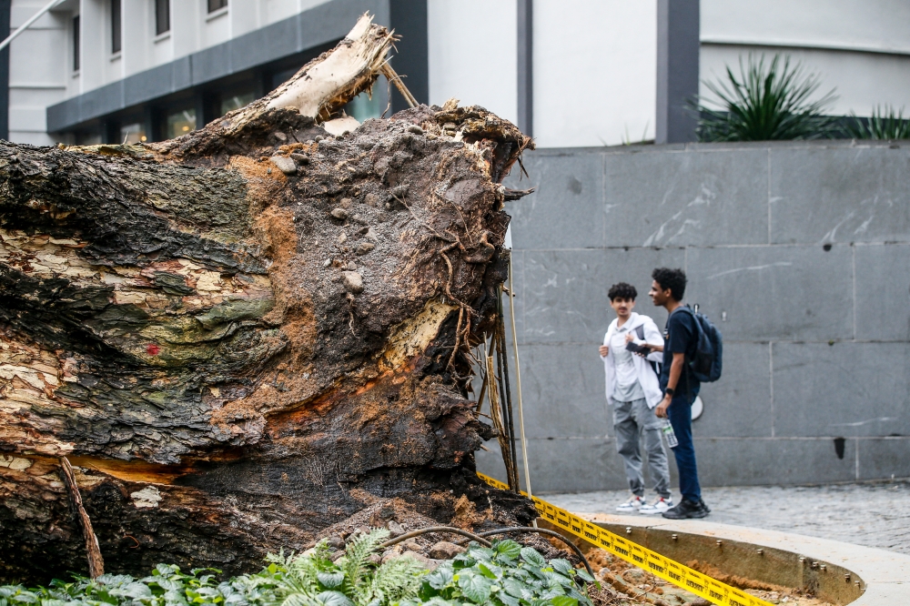 File picture of the scene on Jalan Sultan Ismail after a tree was uprooted during heavy rain, Kuala Lumpur, May 7, 2024. — Picture by Hari Anggara