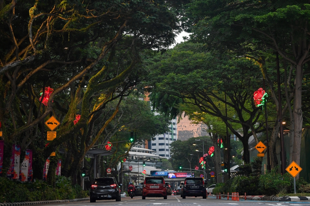 Trees line the street in Kuala Lumpur city centre. The Kuala Lumpur City Hall (DBKL) has been directed to establish a task force soon to closely monitor and maintain the shade trees in the capital city. — Bernama pic 