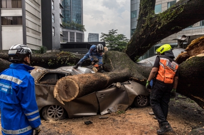 Between falling trees and dangerous roads: A data-driven look at public safety ― Richard Chow