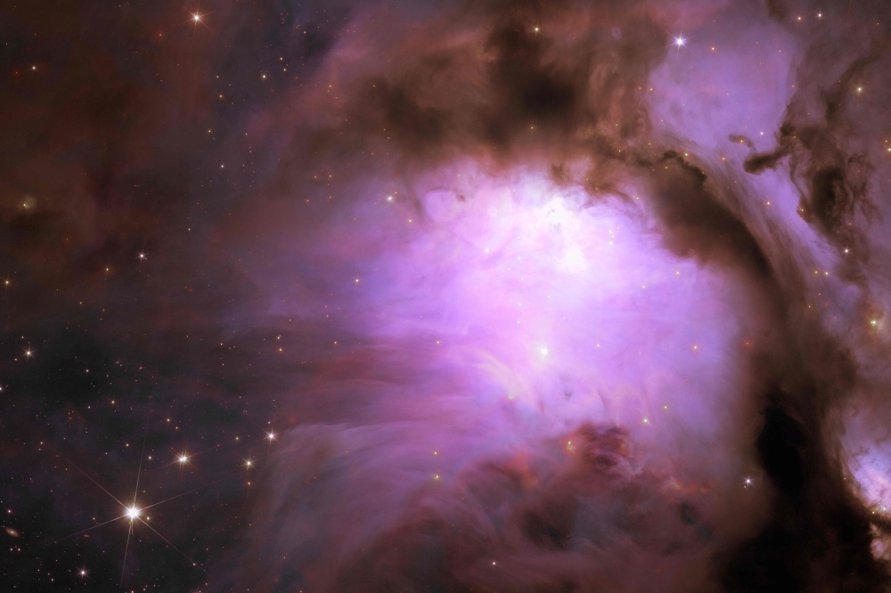 Space telescope Euclid’s new image of star-forming region Messier 78, a vibrant nursery of star formation enveloped in a shroud of interstellar dust. — ESA/Euclid/Euclid Consortium/Nasa handout pic via AFP 