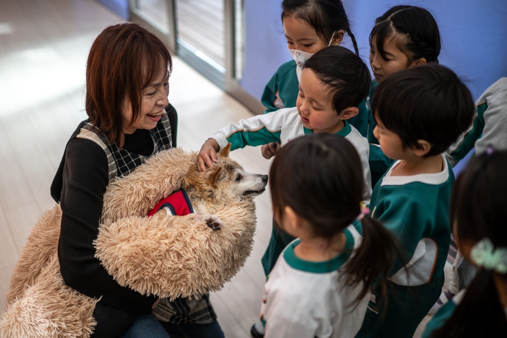 This picture taken on March 19, 2024 shows Atsuko Sato (left) with her Japanese shiba inu dog Kabosu, best known as the logo of cryptocurrency Dogecoin, playing with students at a kindergarten in Narita, Chiba prefecture, east of Tokyo. 