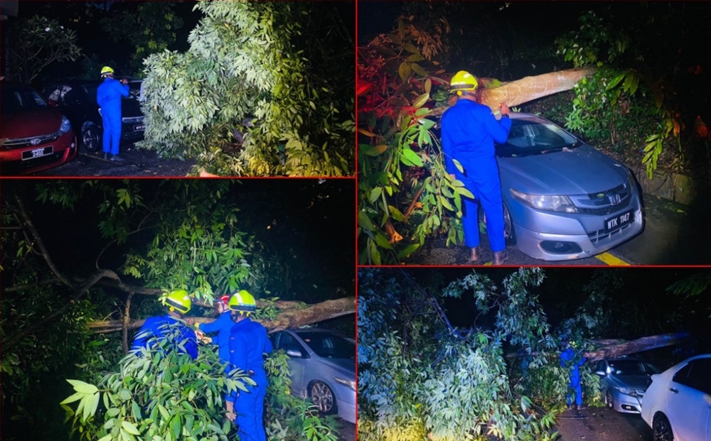 There were several incidents of falling trees after a heavy storm in Kuala Lumpur today. — Picture courtesy of Civil Defence Force