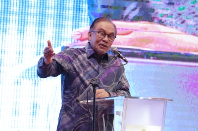 Govt won’t introduce new taxes, aims for fairer subsidies, says PM Anwar
