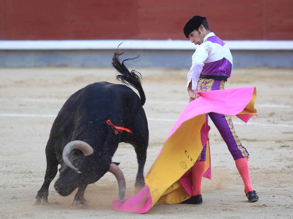 Spanish bullfighter Cayetano Rivera Ordonez performs during the San Isidro bulfighting festival in Madrid on May 24, 2024. — AFP pic