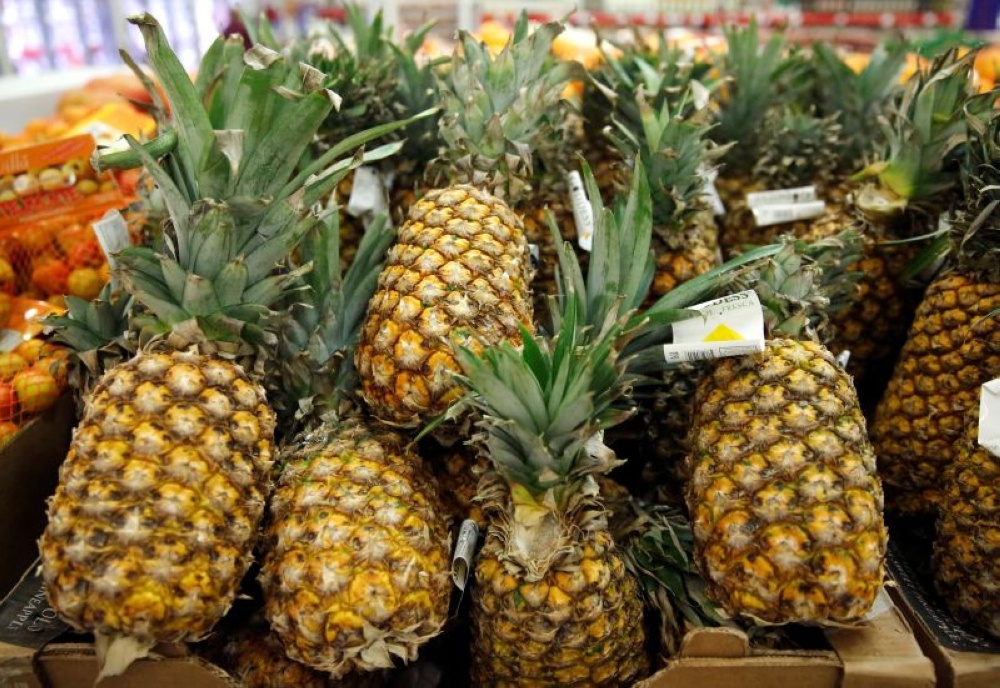 The Malaysian Pineapple Industry Board has collaborated with the Sarawak government to achieve 14 per cent growth in pineapple plantations every year, in line with the target of 20,000 hectares by end-2030. — Reuters pic