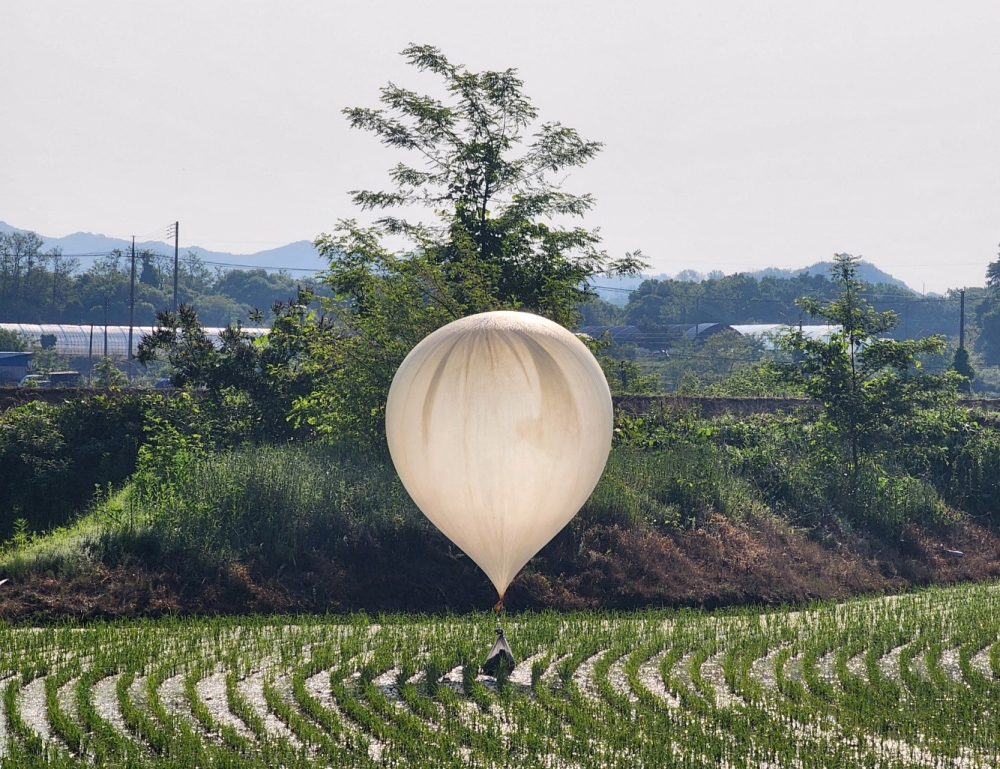 File photo of a balloon believed to have been sent by North Korea, carrying various objects including what appeared to be trash and excrement, is seen over a rice field at Cheorwon, South Korea, May 29, 2024. — Reuters pic