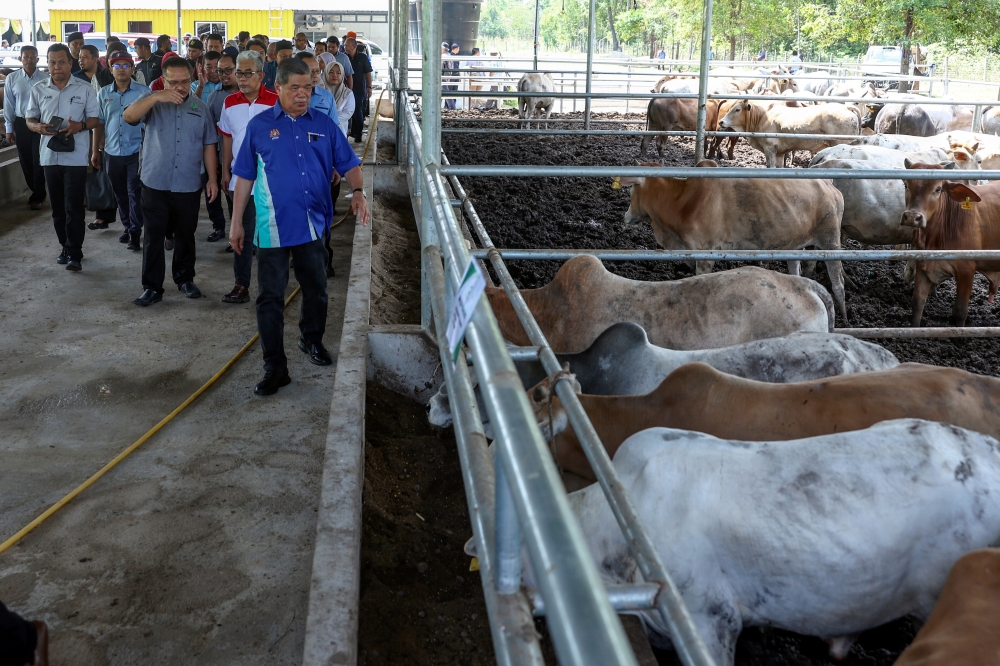 Agriculture and Food Security Minister Datuk Seri Mohamad Sabu at the opening of HL Agro Farm KB Sdn Bhd in Bachok June 4, 2024. — Bernama pic