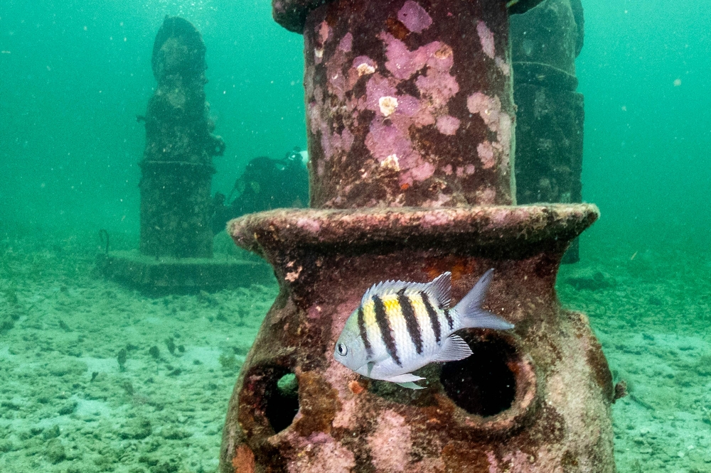 A partial view of a sculpture at the Muszif underwater museum in Isla Fuerte. — AFP pic