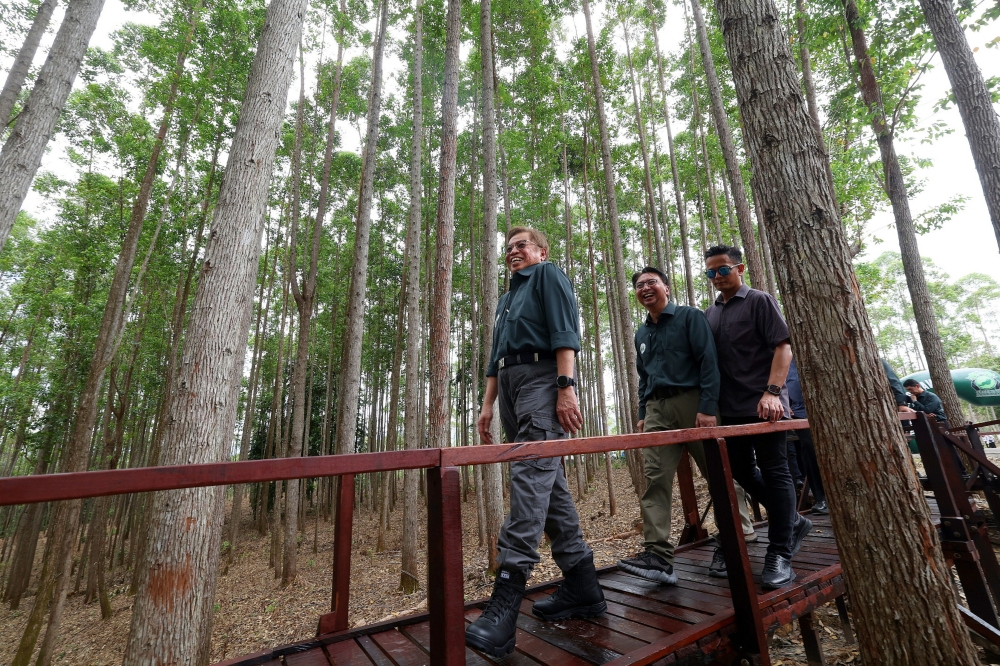 Sarawak Premier Tan Sri Abang Johari Openg passes through a 100-metre-long bridge made of Belian wood at the 2024 Sarawak-level International Forest Day celebrations at the Sabal Agro-Forestry Centre about kilometers from Serian June 8, 2024. — Bernama pic