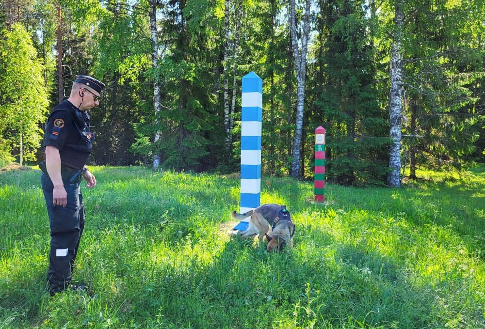 A Finnish border guard and their dog Nita patrol the Finnish-Russian border which is marked by a narrow clearing in the forest near Hoilola village, in Eastern Finland, June 5, 2024. — Reuters pic  