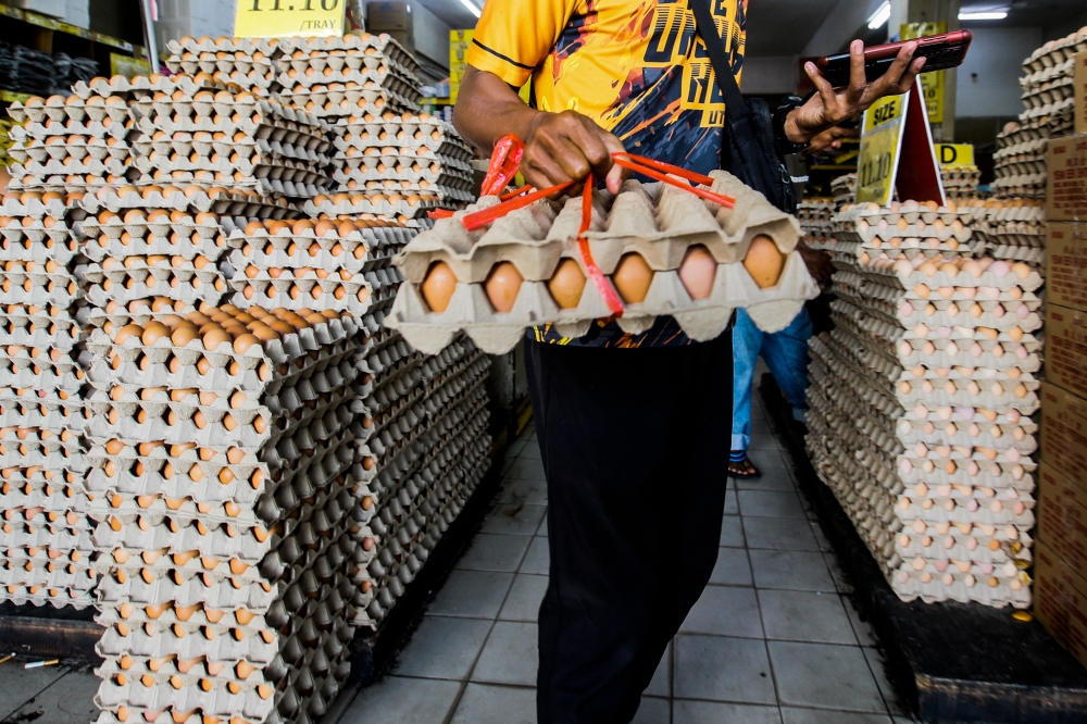 Yesterday, Prime Minister Datuk Seri Anwar Ibrahim announced the price reduction of eggs by 3 sen effective immediately. He said that based on research, eggs were a staple for B40 families and this price reduction of eggs will benefit them. — Picture by Hari Anggara