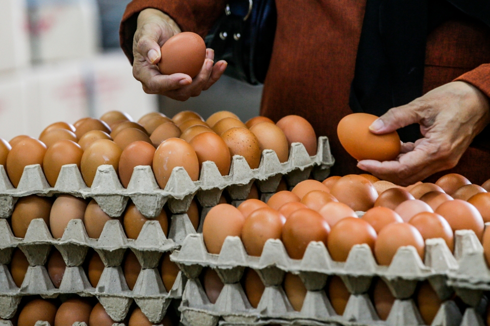 Malaysians consume over 940 million eggs per month, making eggs a vital and affordable protein source with versatile culinary uses. — Picture by Hari Anggara