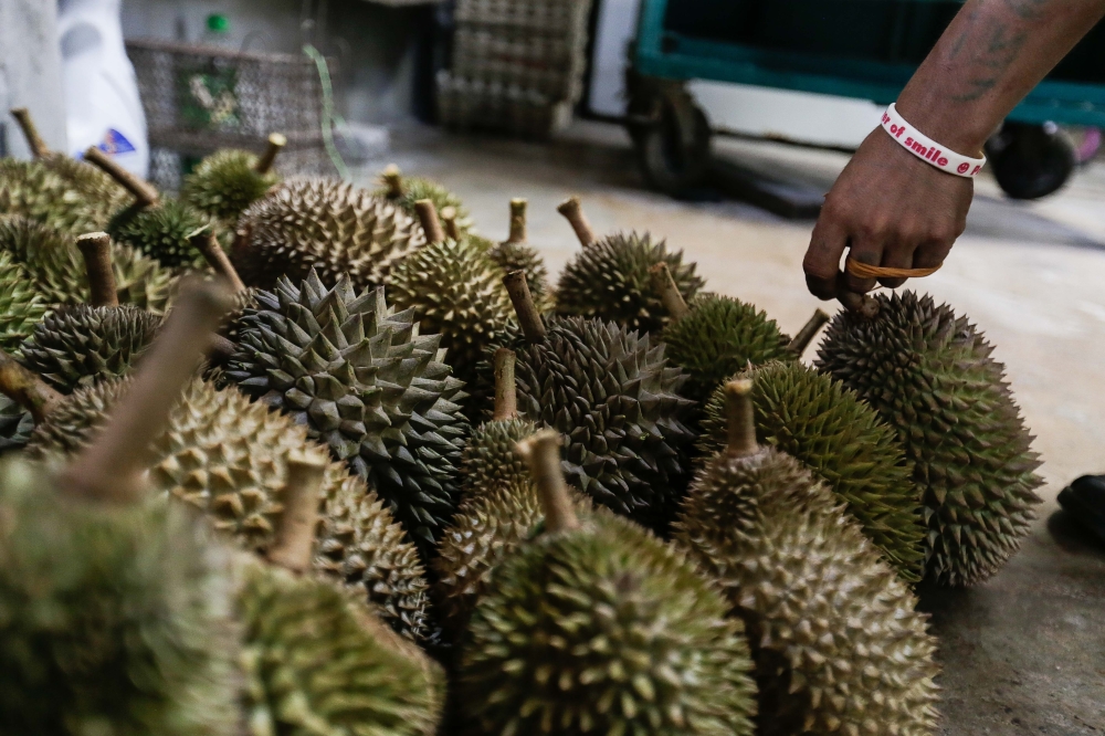 Agriculture and Food Security Minister Datuk Seri Mohamad Sabu said the effort needs to start from now following the signing of the Phytosanitary Requirements Protocol for the Export of Fresh Durian from Malaysia to China yesterday. — Picture by Sayuti Zainudin