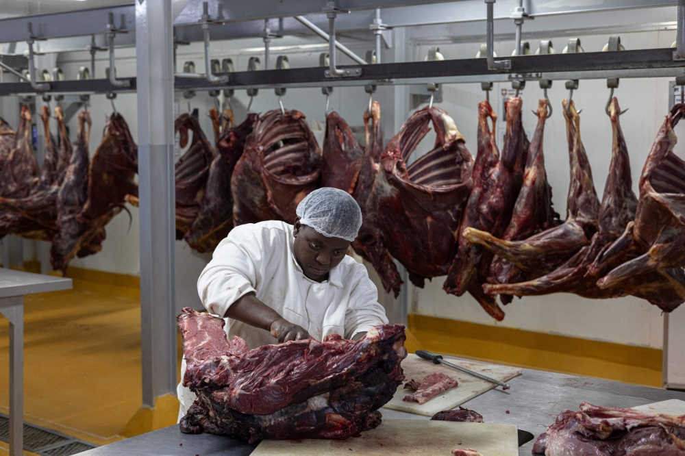 A butcher is seen at work on a piece of game meat as carcasses hang at an abattoir in Bela Bela, on April 22, 2024. — AFP pic 