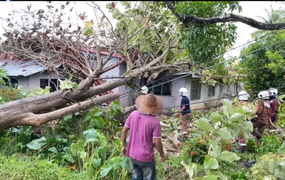 Fire Department personnel assess the damage to a house after a tree fell on its roof during the storm. — Picture from Facebook/Mohd Sham