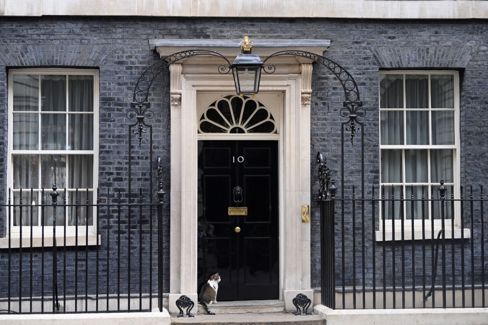 Larry the cat sits outside 10 Downing Street in London July 12, 2022. — Reuters file pic