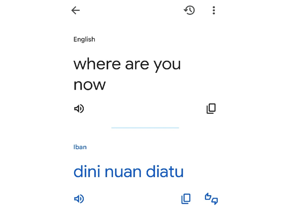 A screengrab of an English sentence translated into Iban on Google Translate. ― The Borneo Post pic