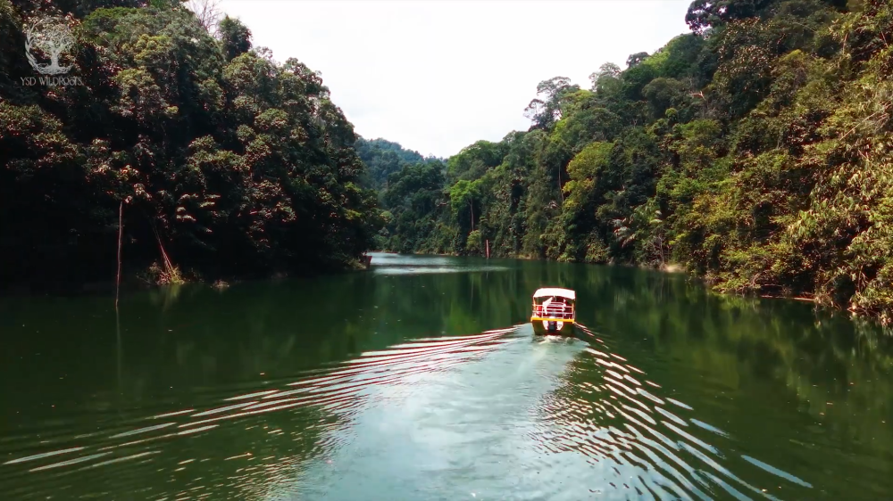 Yayasan Sime Darby aims to improve ecological connectivity and activate community-led conservation and anti-poaching efforts at Malaysia’s central forest spine spanning from Kedah to Johor.— Picture courtesy of Yayasan Sime Darby