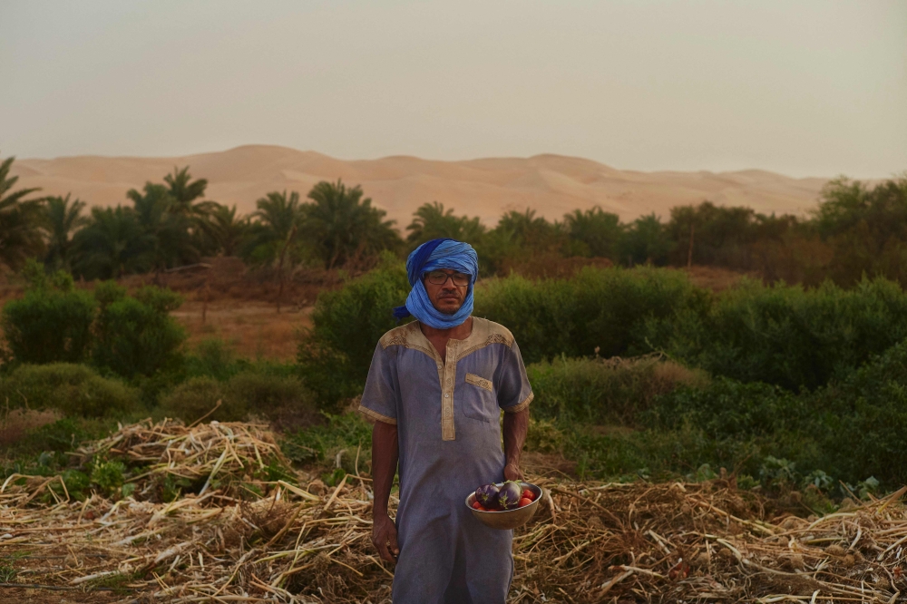 The farmer Mohamed Ould Vaide holds some vegetables recently harvested from his field in the oasis of Oasis of Maaden el Ervane, in the Adrar region, on June 20, 2024. Located between mountains and dunes, the Oasis of Maaden el Ervane was founded with the aim of creating an autonomous community which has become nowadays a flagship for agroecology. — AFP pic 