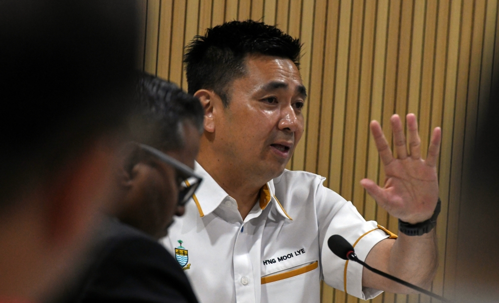 Penang Local Government, Town and Country Planning Committee chairman H’ng Mooi Lye said that if it is confirmed that the dogs were poisoned, there will be no leniency towards the perpetrators. — Bernama pic 