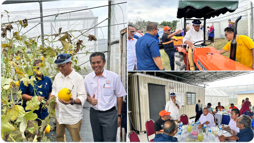 Felda chairman Datuk Seri Ahmad Shabery Cheek (in dark blue hat) visits the Felda Sungai Tengi Selatan golden melon farm in Hulu Selangor on July 26, 2024. — Picture from X/Fedral Land Development Authority