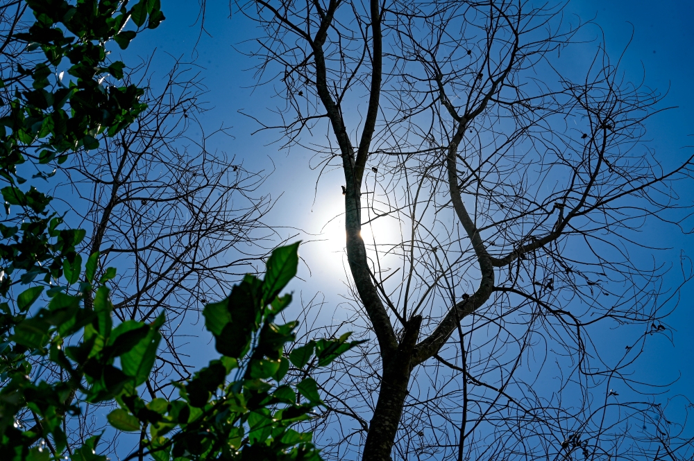 In a brief report on the hot weather status, the National Disaster Management Agency (Nadma) yesterday said that out of the total cases, 26 were heat stroke, 78 were heat exhaustion, and eight were heat cramps. — Bernama pic