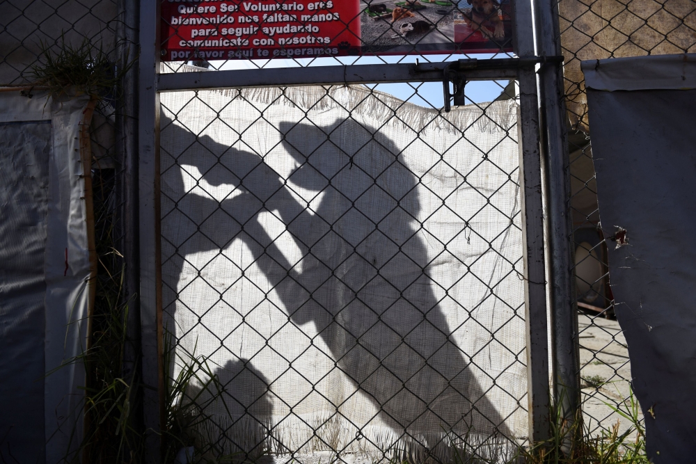 Public order officers in Bali have seized hundreds of dog skewers and dozens of kilograms of raw dog meat on the Indonesian resort island where the trade is illegal. — Reuters pic