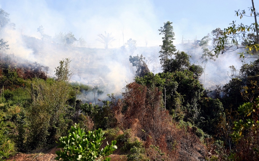Sibu fire chief Andy Alie said there had been 84 cases of garden/farm fires in the area from January 1 up to July 26, 2024. — Bernama file pic