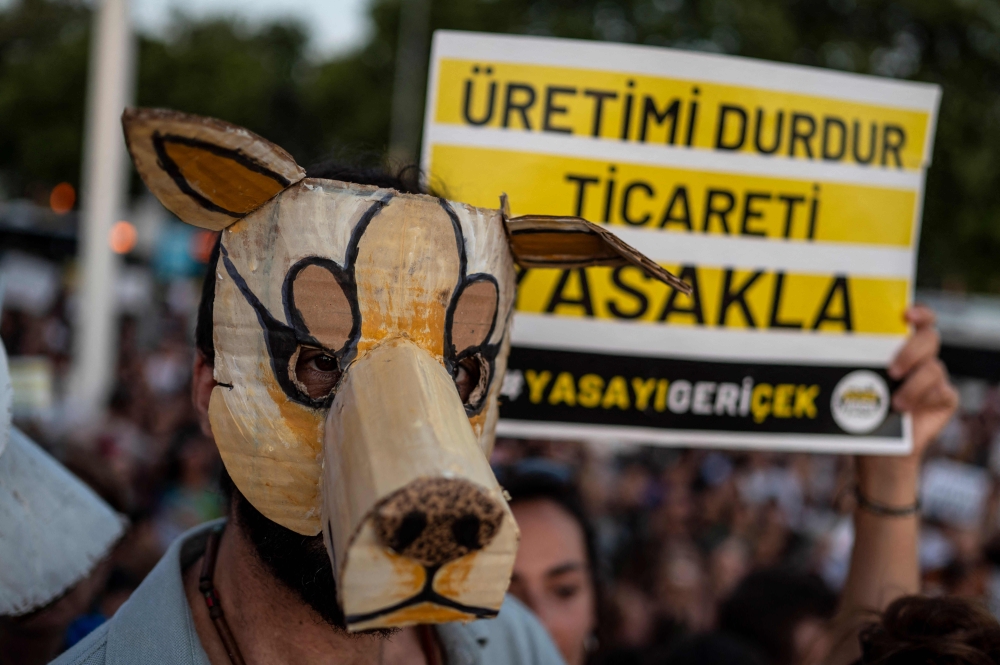 An animal right activist wearing a mask looks on during a demonstration to protect stray dogs and cats in Istanbul on July 27, 2024. — AFP pic 