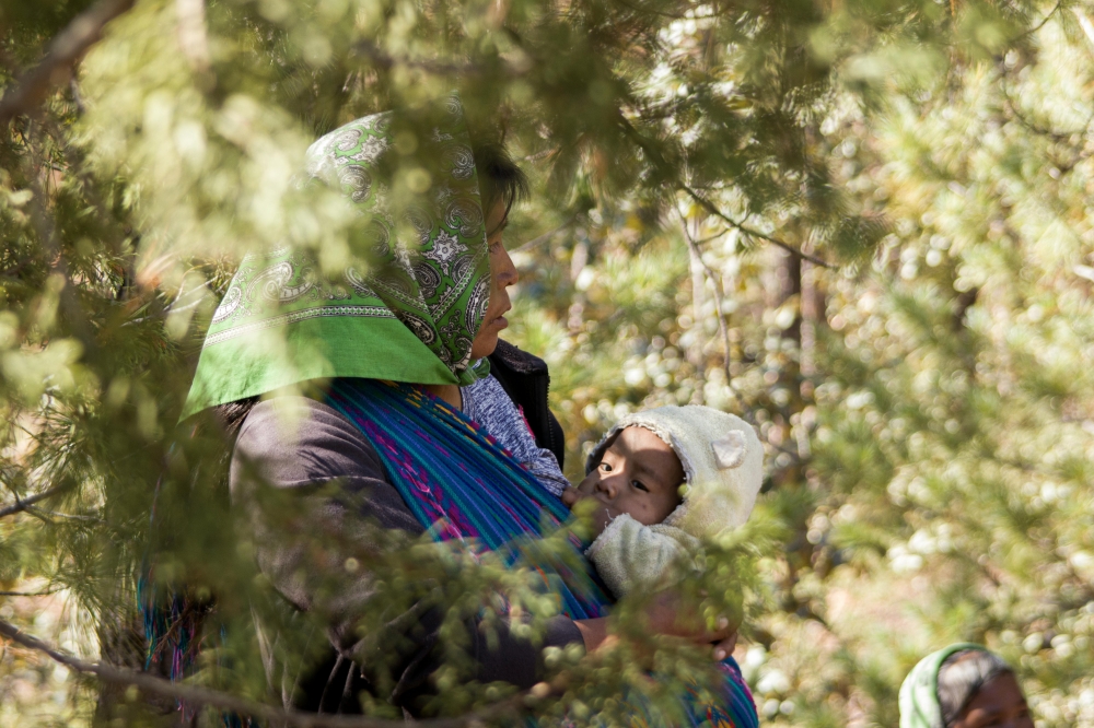 According to World Bank data cited by the report, 45.6 per cent of working-age Mexican women have jobs, while the figure is 77.5 per cent for men. — Picture via Pexels/Uriel Venega