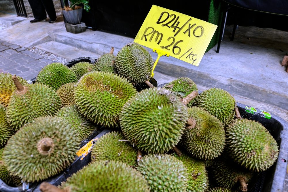For a start, 40 metric tonnes of fresh durians, including varieties such as Musang King, Black Thorn, D24, and IOI, from eight exporting companies, will be shipped to China in three phases. — Bernama pic