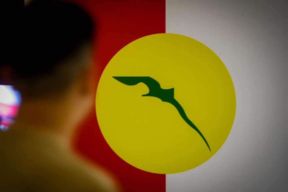 A person looks at the Umno flag during the party’s general assembly at the World Trade Centre in Kuala Lumpur on August 24, 2024. — Picture by Raymond Manuel