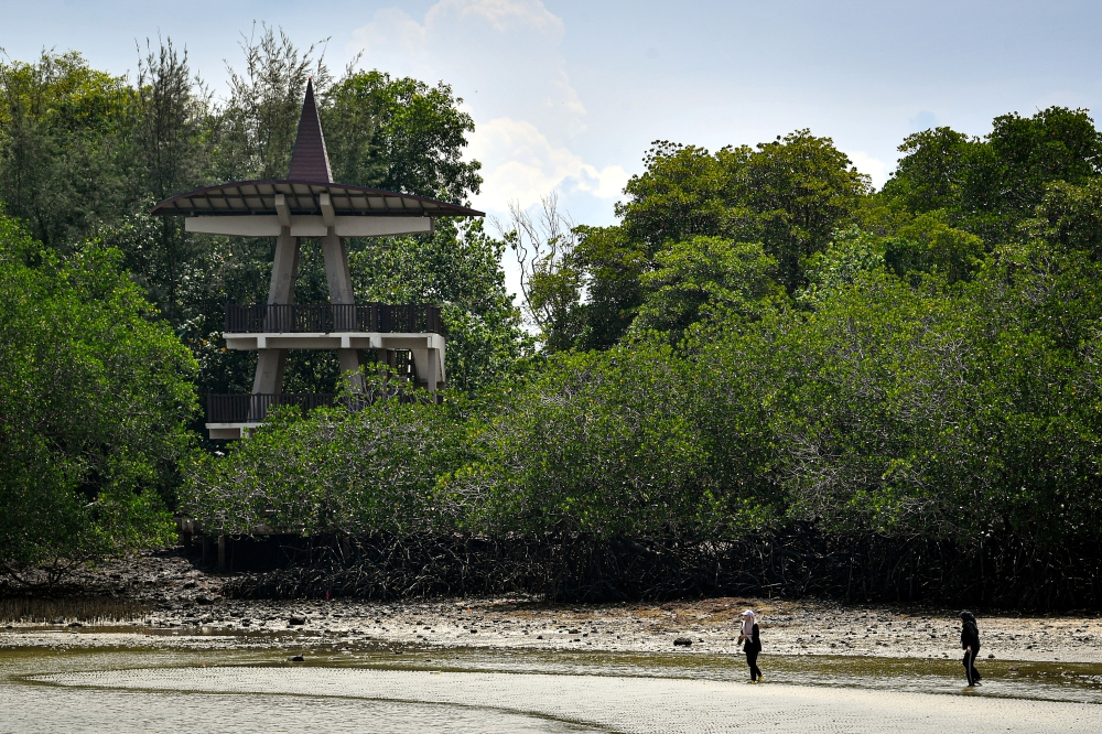 Pulau Burung, once famous for the migration of birds on the island, is now one of the must-see tourist spots in Negeri Sembilan. — Bernama pic